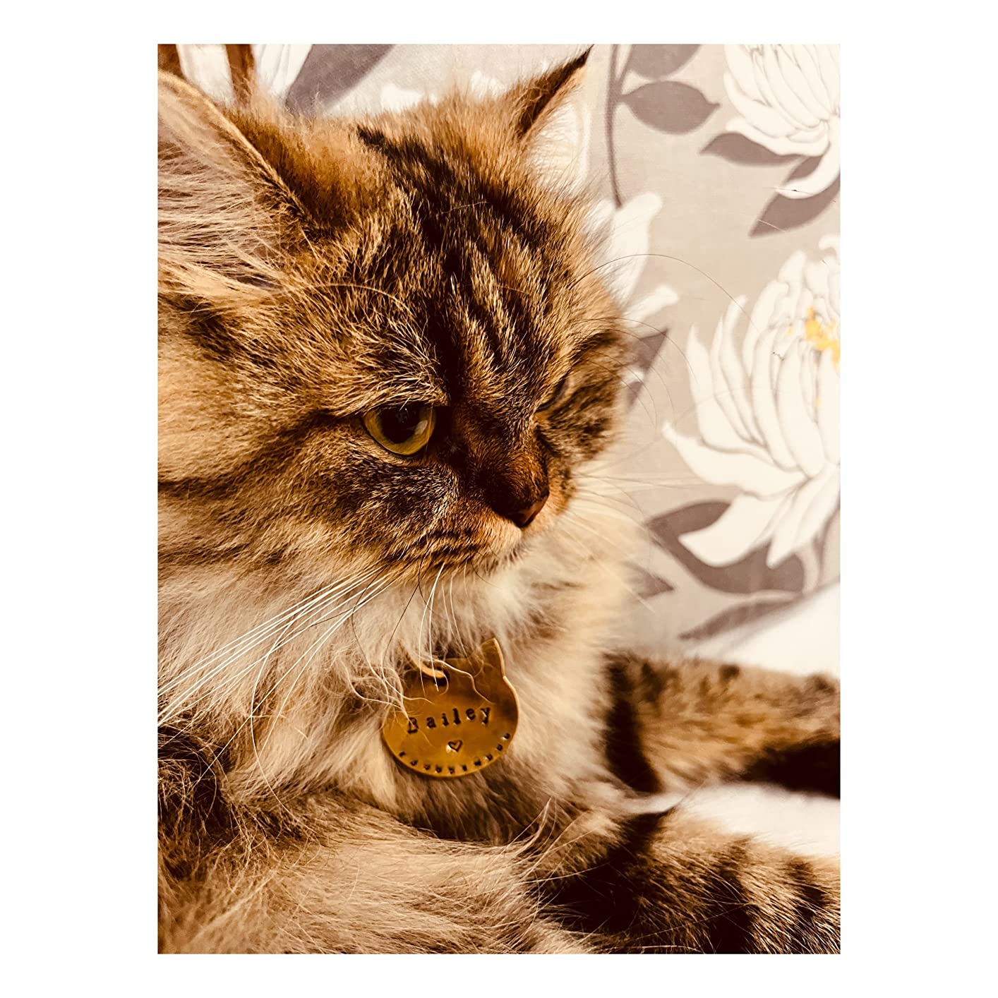 Cat name tag Personalized Hand Stamped Circular Shaped Tag for Small Pet Dog, Cat ID Customized Dog Tag (Brass)