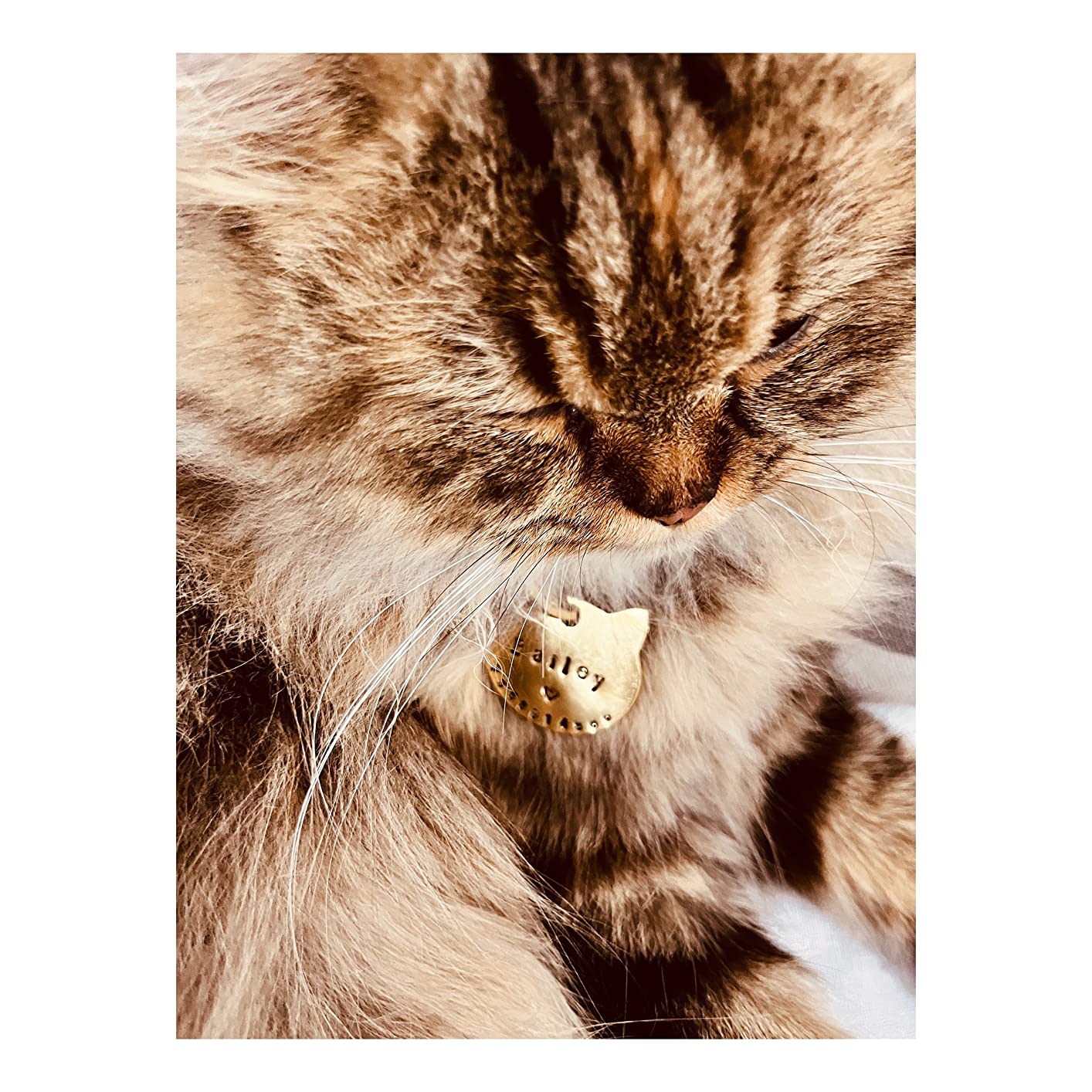 Cat name tag Personalized Hand Stamped Circular Shaped Tag for Small Pet Dog, Cat ID Customized Dog Tag (Brass)