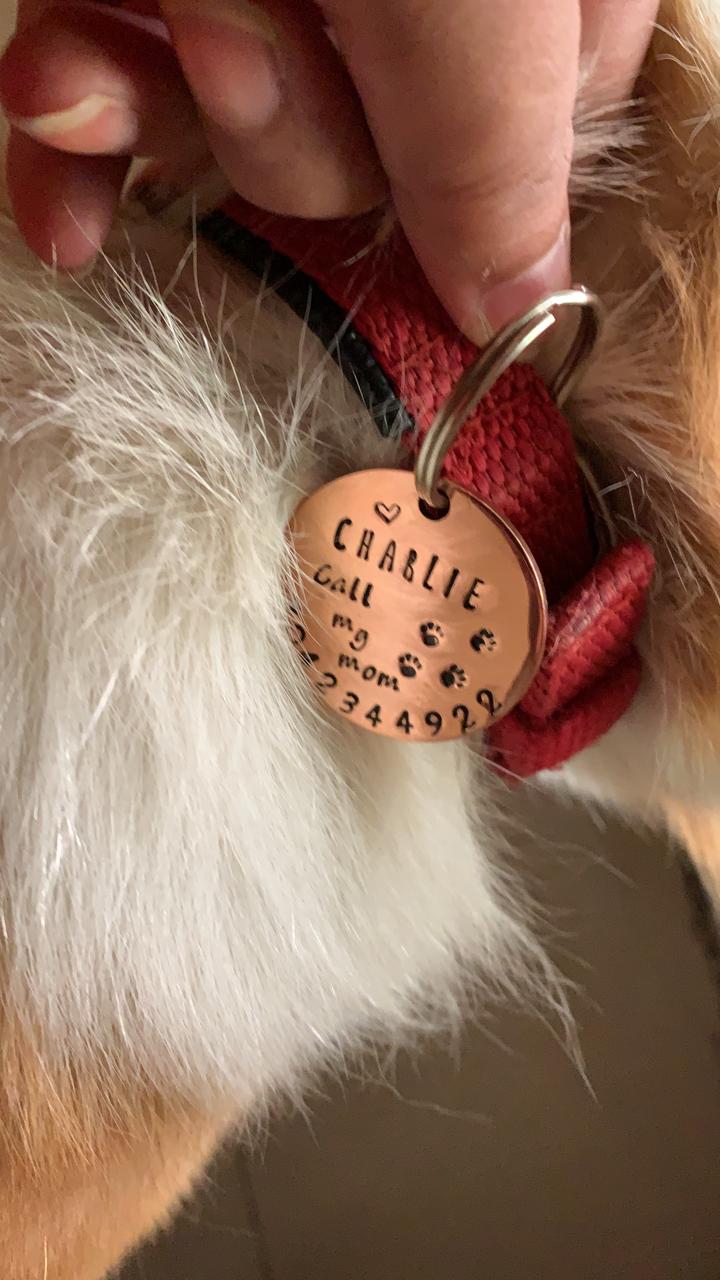 Personalized Pet Name tags Pet ID Copper Round Hand Stamped Tag