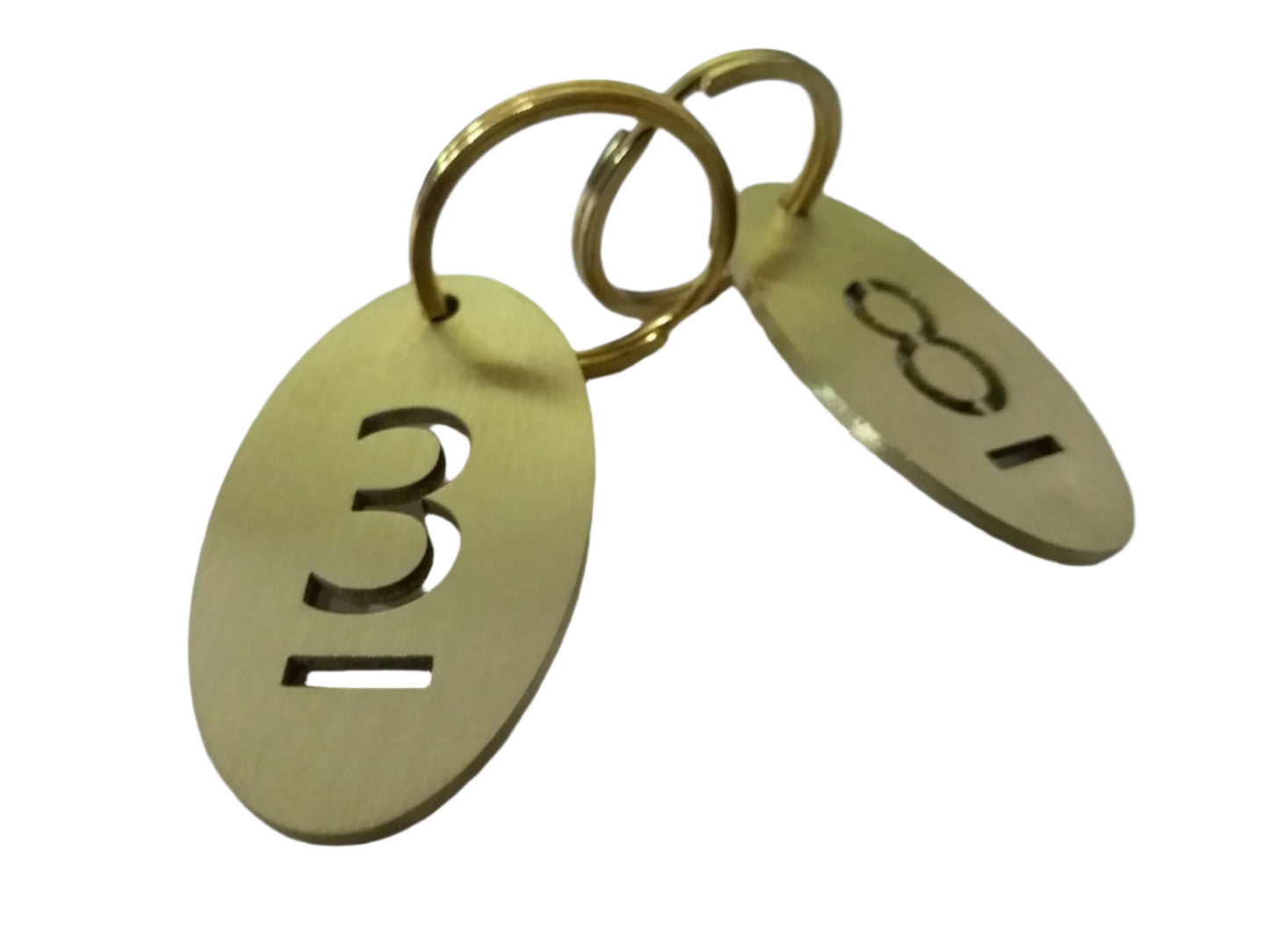 Oval Cut Out Numbered 1-10 Brass Tags with Key Rings