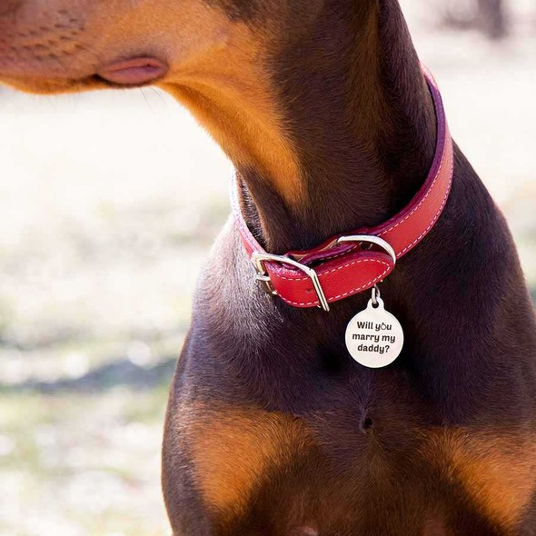 Personalised dog name tags Pet ID Personalized Stainless Steel Laser Engraved Tag for small Puppy, Cat, Kitten Customized