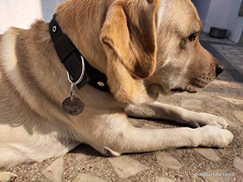 Personalised dog name tags Pet ID Personalized Stainless Steel Engraved Tag for Pet Dog, Cat ID Customized Dog Tag