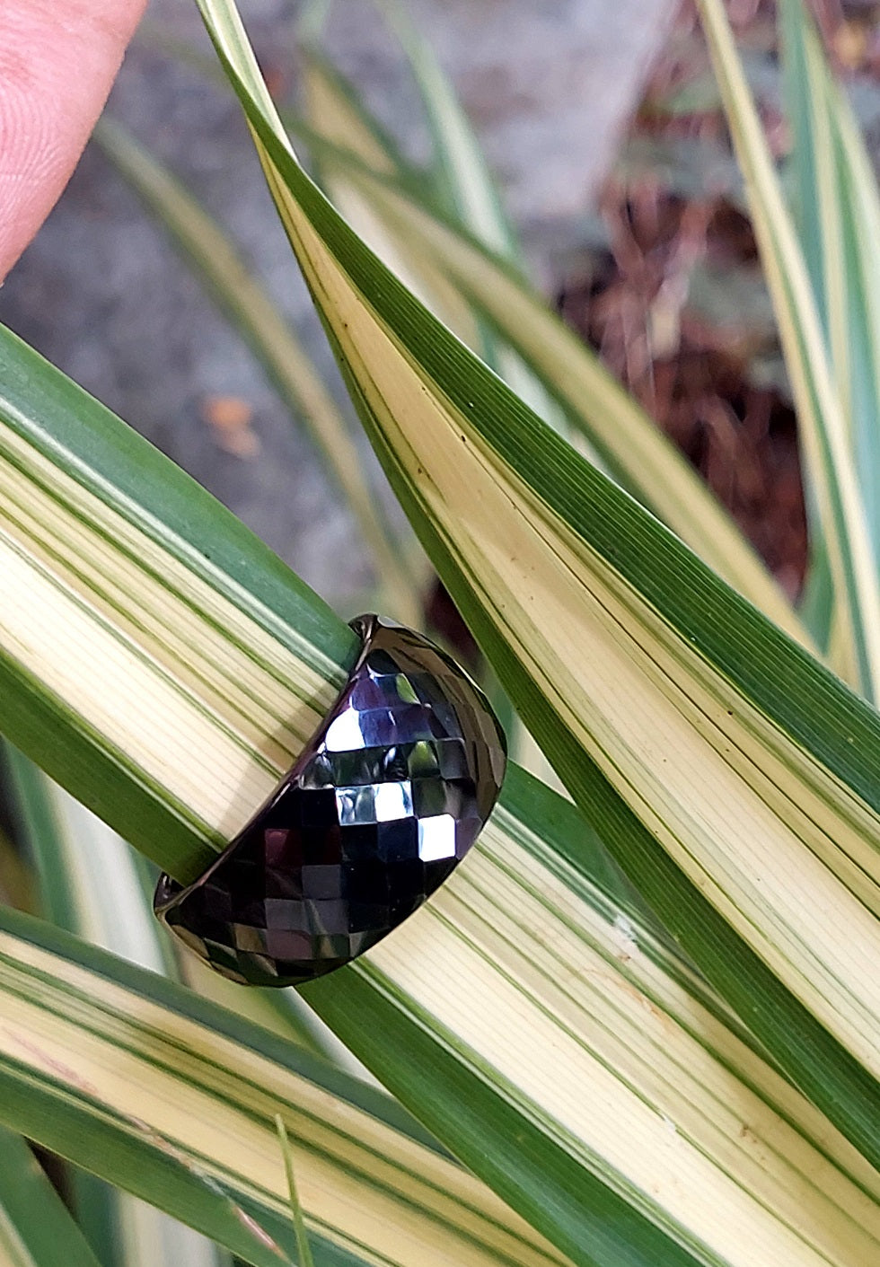 Classic Wide black ceramic ring resting on variegated leaves, outdoor lifestyle shot