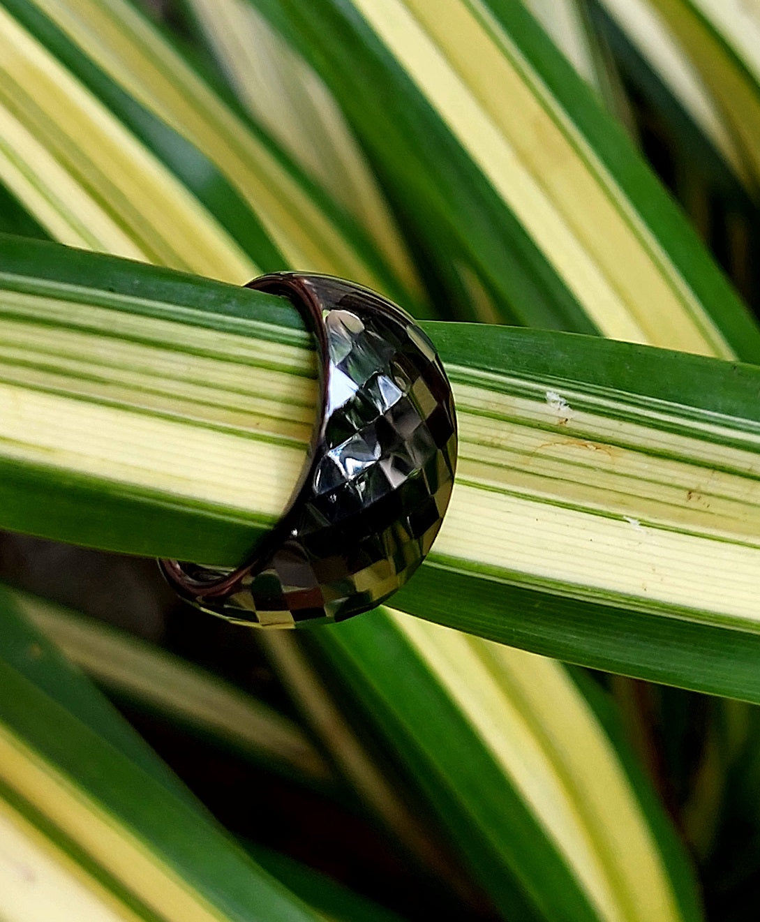 Classic Wide black ceramic ring on a striped leaf, outdoor lifestyle shot
