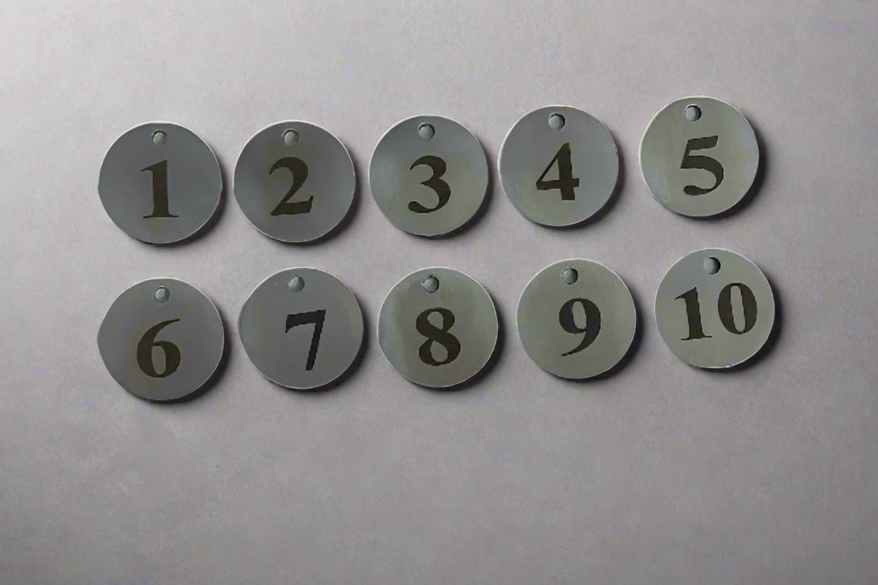 Numbered Stainless Steel Tags with Key Rings