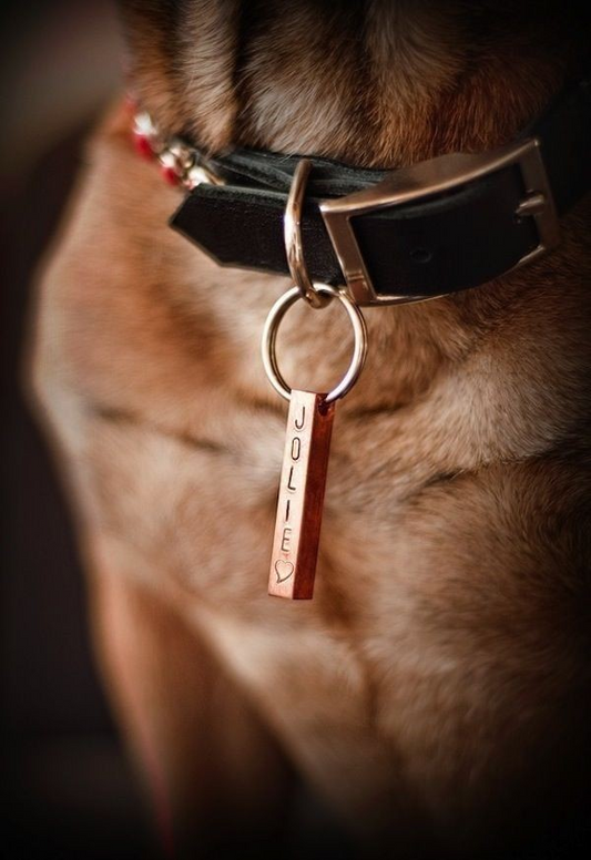 Custom name tag  Steel Bar 8mm Customized for Pet Dog.
