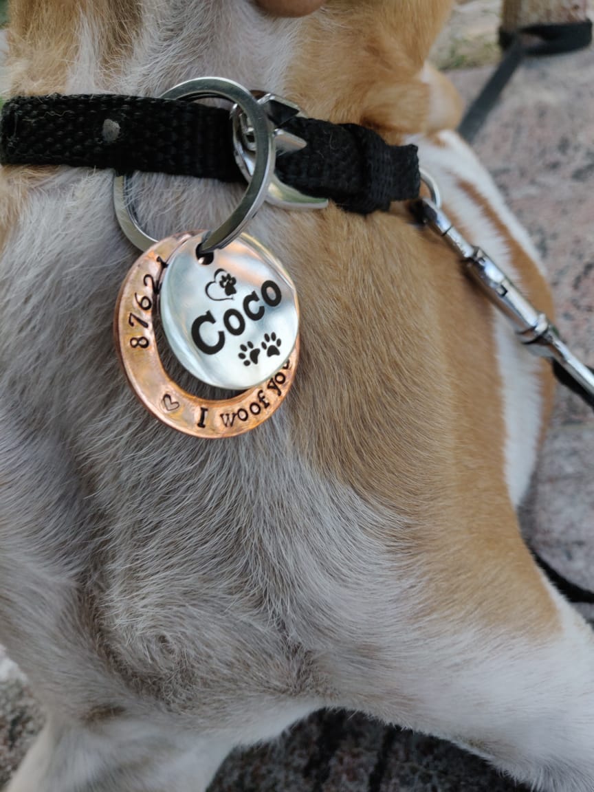 Custom Dog Name Tags Pet ID Personalized Copper Hand Stamped Tag for Pet Dog, Cat ID Customized Dog Tag (Round Coppper Steel)